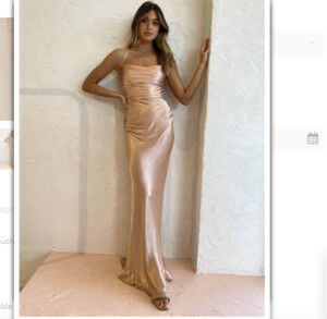 Shona Joy La Lune Dress (Desert Rose) Size 4